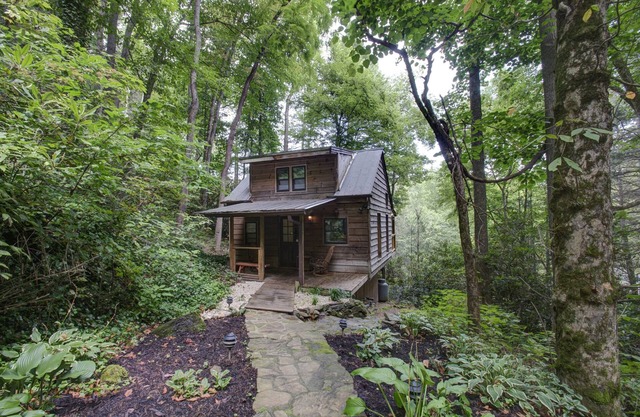 La meilleure cabine romantique d'Asheville! Accès privé à la rivi��re, bain à remous sur le pont, animaux de compagnie. Comprend un billet Biltmore!