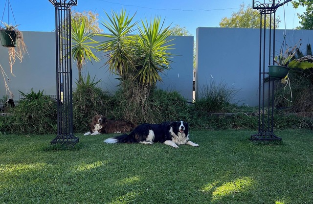 Cozy Private Room - Twin Bedroom with Private Garden - Pet Friendly