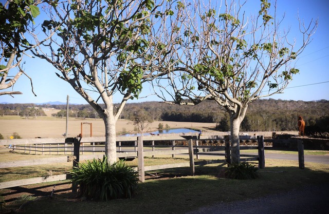 cozy retreat located on the south coast of NSW, farm and ocean views,