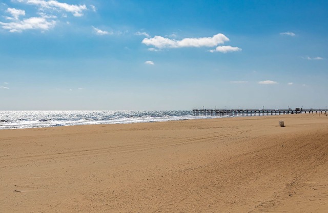 Bay and Beach Bungalow! Back Bay Waterfront with Direct Beach Access!