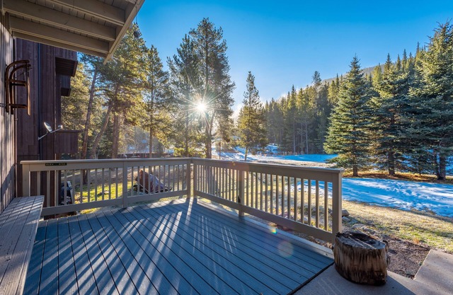 Cozy Ski-in/Walk-out condo, free wifi, & parking, great deck