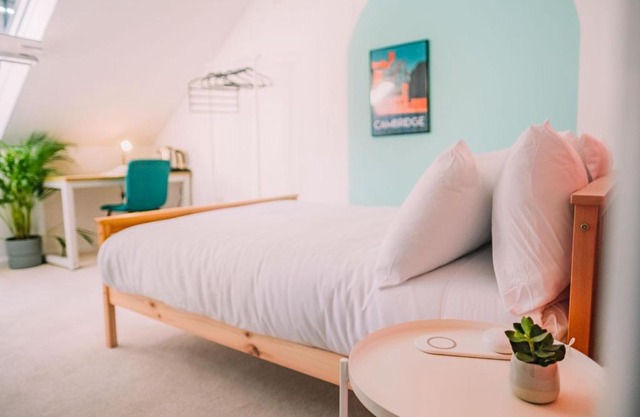 Cozy Stay