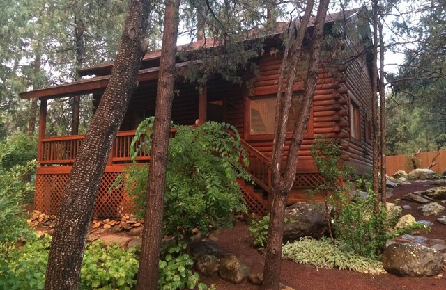 Cozy cabine streamfront niché dans les pins