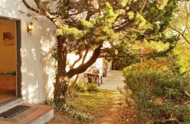 Cozy Studio in North Berkeley Hills