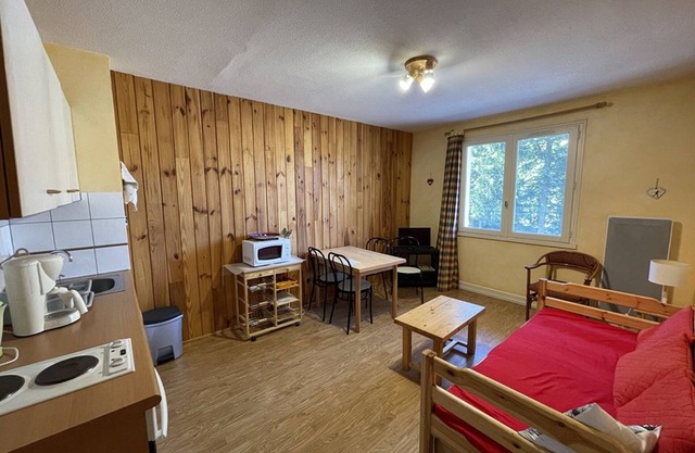 Agréable T2 au pied des pistes avec piscine estivale, parking, et animaux bienvenus