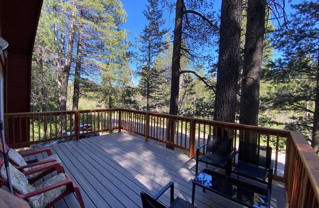 Cozy Tahoe Cabin Nestled in the Forest - Next to Mountain Trails & Sledding Hills - Close to Heavenly