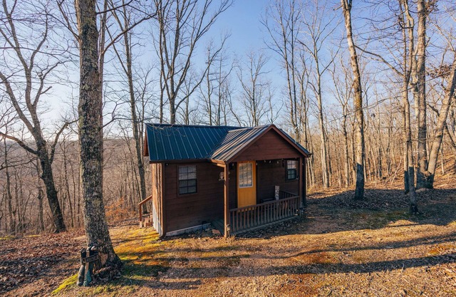 Cozy Tiny Cabin w/ Peace and Quiet- 3min from TN River, 1hr 15min from Nashville