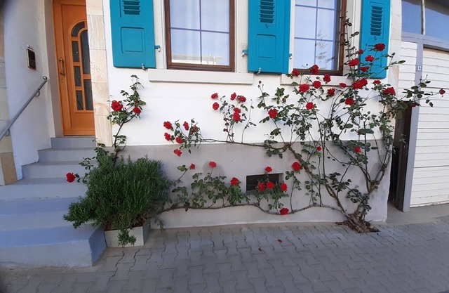 Cozy vacation apartment with tiled stove, near Heidelberg and the Black Forest