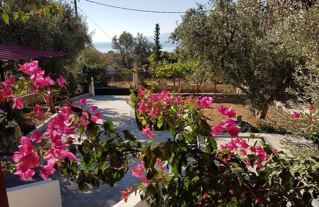 Vacation apartment Panorama1