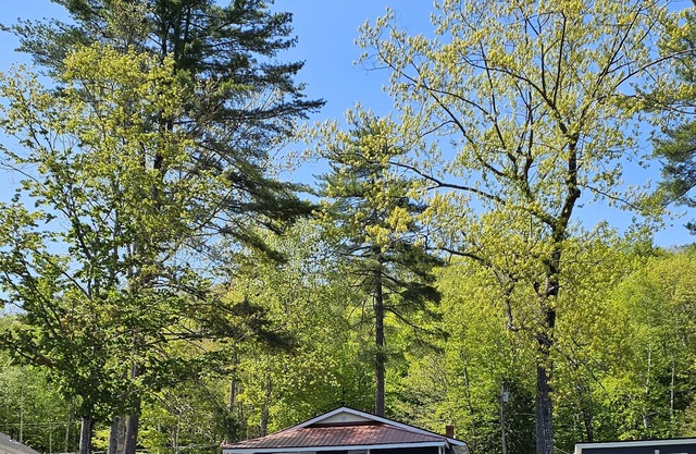 Cozy Year-round Lakefront 3 Bedroom 2 bath on Sand Pond with stunning view.