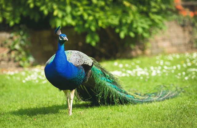 Crafted at Powdermills