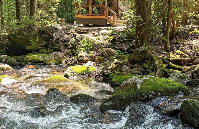 Creek Cabin