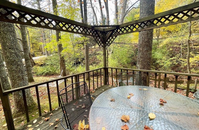 Creekside 4 BR cabine animaux acceptés avec bain à remous, table de billard, foyer, WiFi