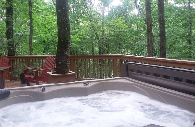 Spéciaux de semaine - Cabine spectaculaire Creekside au milieu de N. Georgia Wineries-Hot tub!