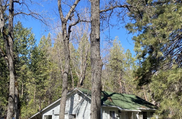 Bearfoot Cabin par le ruisseau près de Yosemite