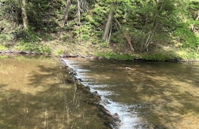 Creekside Cottages, Cottage #2, across from Knoebel's Amusement Resort!