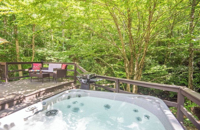 Connexion privée à la maison sur Rushing Creek à Blue Ridge Mountains