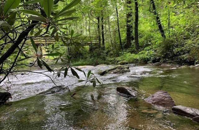 Creekside Storie. Waterfalls, Hiking, Biking, Creekside Storie. Hot Tub, Cohutta Forest, Hiking, Bik