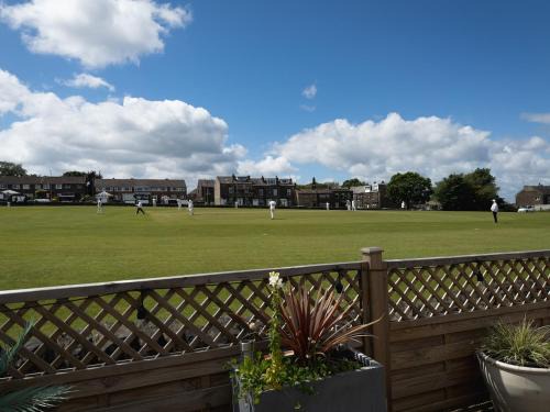 Cricketers View