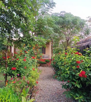 Crocodile Safari Camp