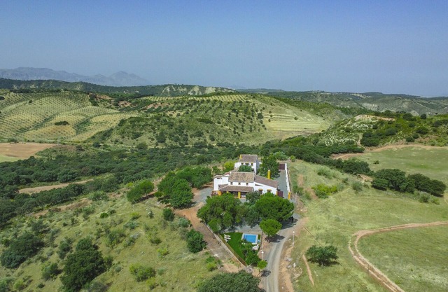 Cubo's Cortijo El Perezon / rural / piscine privée / climatisation