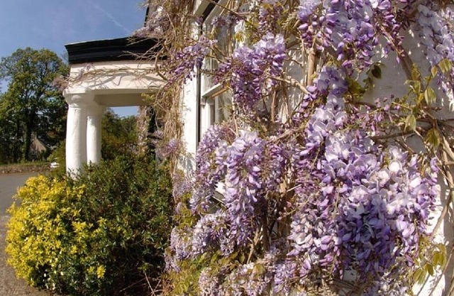 Cuffern Manor