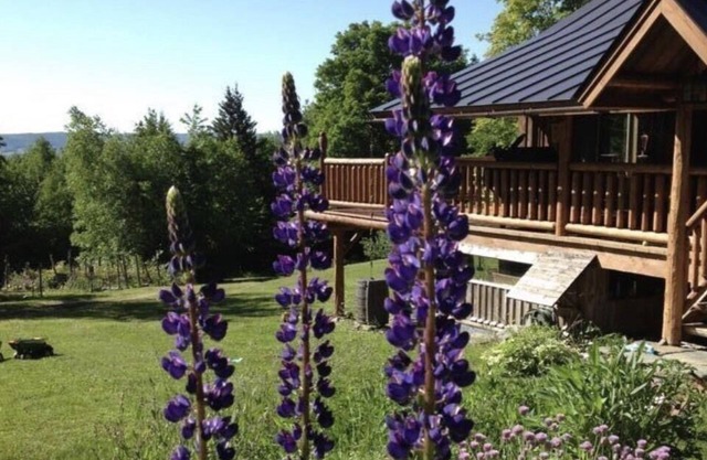 Vermont Log Home with Trout Pond