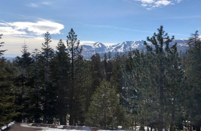 Joli et confortable condo 1 ch + loft avec une vue imprenable au Mammoth Ski & Racquet Club