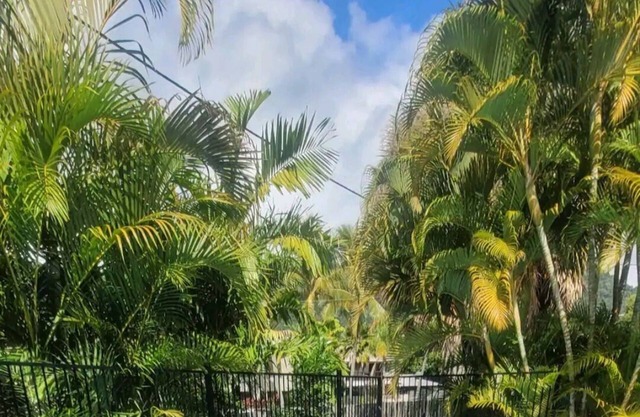 Cute Beach Cottage, Pool, Pets, Netflix, WI-FI