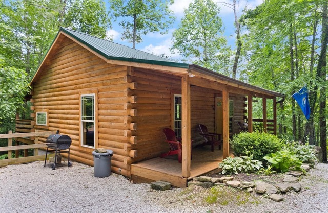 Cabane en rondins bien décorée, sur le thème "Ameublement coq" rouge et noir.