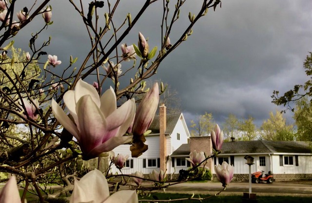 Cute, large farm house near downtown Traverse City on private 32 acres