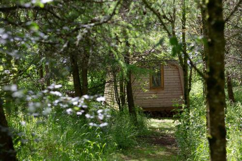 Cwtch Woodland Camp