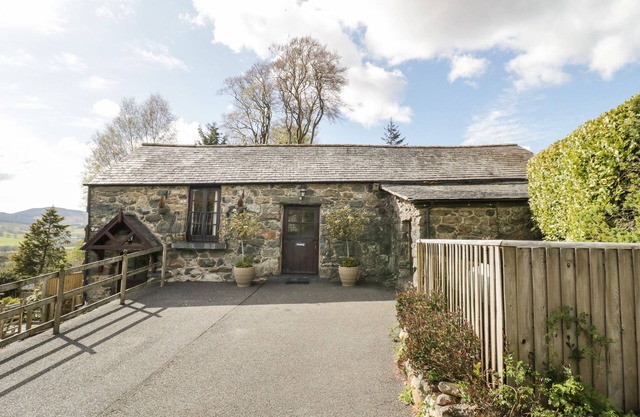Cyffdy Cottage - Arenig, PARC