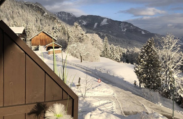 Appartement de luxe Goisernperle