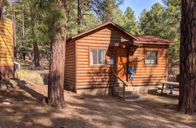 D2 Cabin Rock Climbing, Bouldering, & Ropes Course