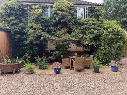 Da Vinci Guest House & Guest Parking, A Real Gem