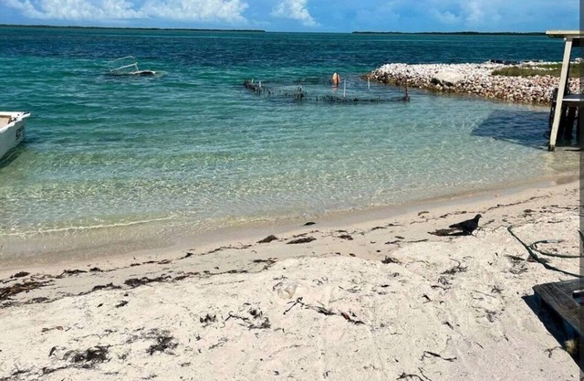 Dames Getaway Bimini