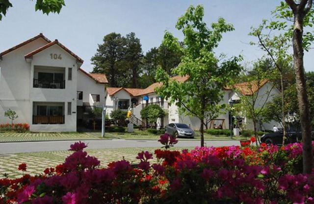 Damyang Meta Pension