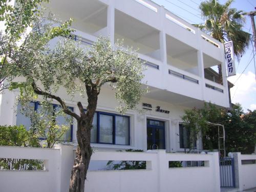 Danae Hotel