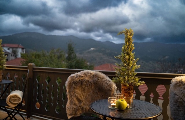 Dandy Villas Metsovo | Mezzo | Down Town |Up to 5