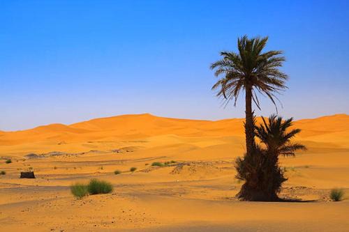 DAR MIRA DUNES Hassilabiad-Merzouga