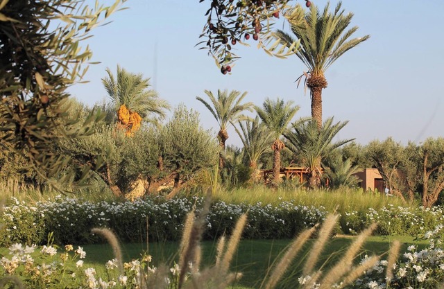 DarToozween, propriété- ferme chic et confortable dans la campagne de Marrakech