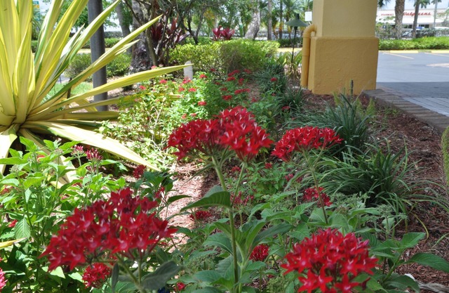 Days Inn by Wyndham Florida City