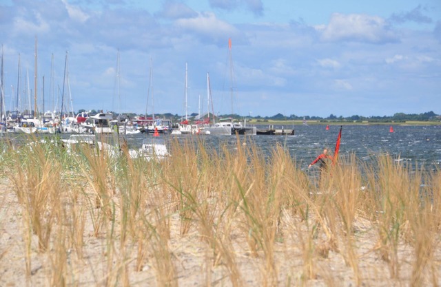 Appartement / app. pour 3 personnes avec 34m² à Fehmarn OT Neue Depth (123716)