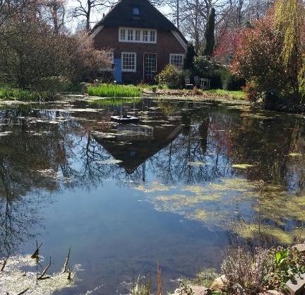 De Geheime Tuin - Uitzicht