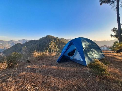Delicate camp