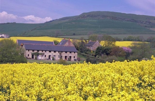 Charmante maison de campagne. Une vue imprenable. À quelques minutes à pied de la plage de Seatown