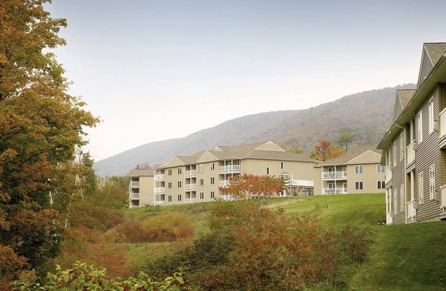 Deluxe One Bedroom and One Bathroom with Full Amenities