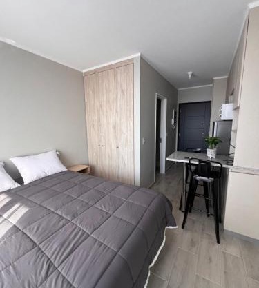 Departamento Estudio, Pitrufquén