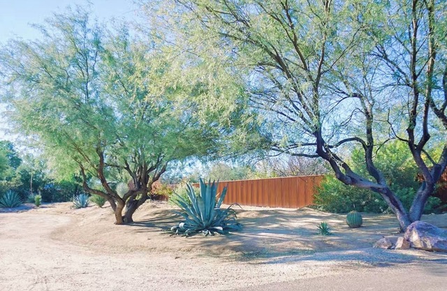 Desert Garden Home With a View